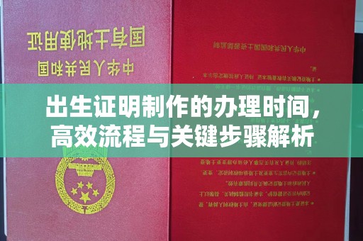 福海出生证明制作的办理时间，高效流程与关键步骤解析
