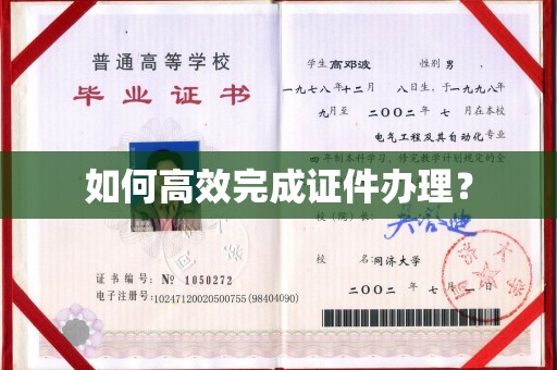 福海如何高效完成证件办理？