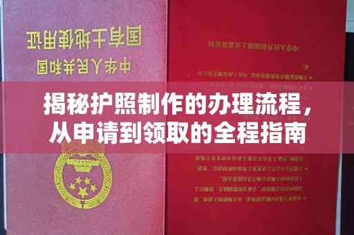 福海揭秘护照制作的办理流程，从申请到领取的全程指南